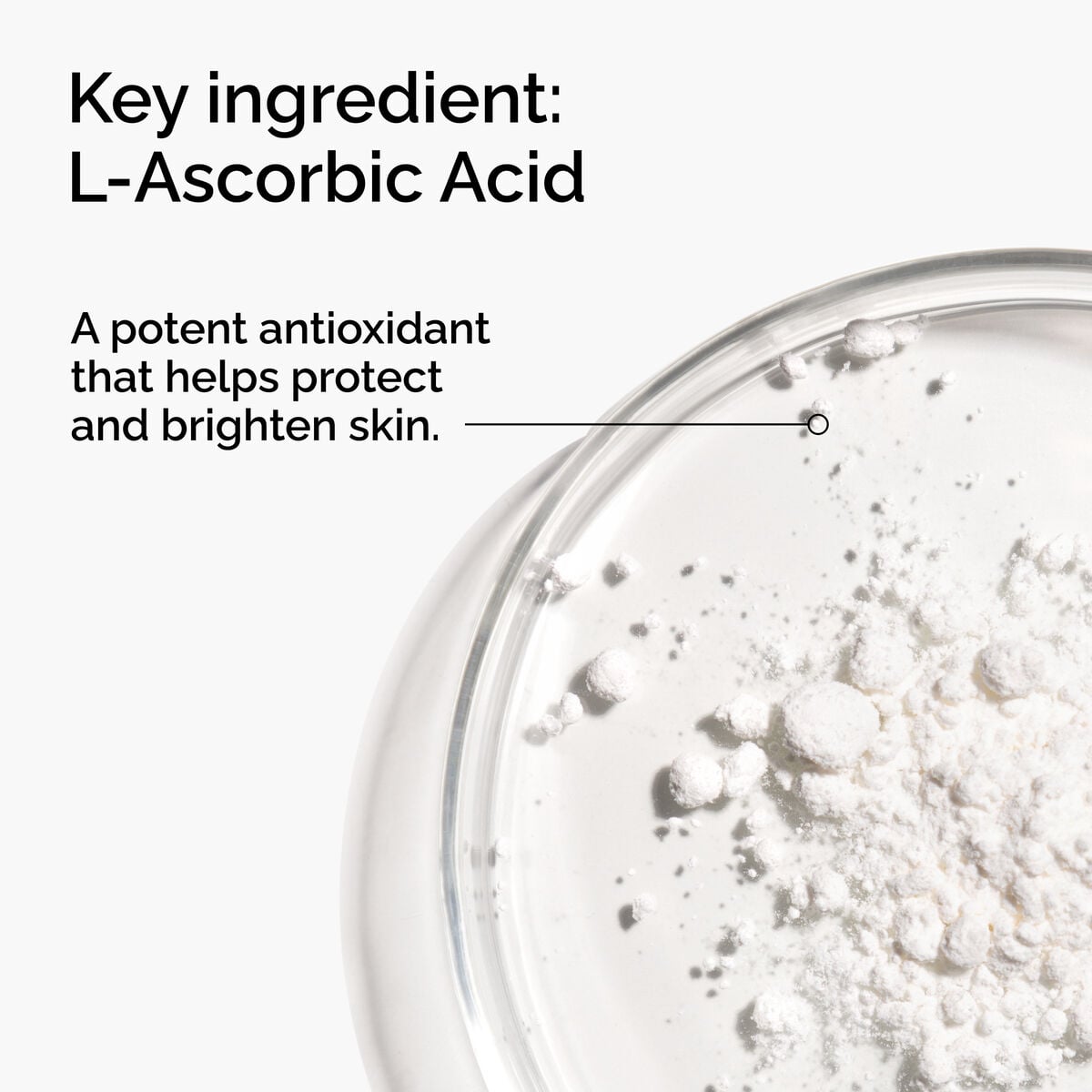100-l-ascorbic-acid-powder-s8 FY25-D41247-ORD-Web-PDP-100-LAscb-Pwd-1x1-EN-2a.jpg