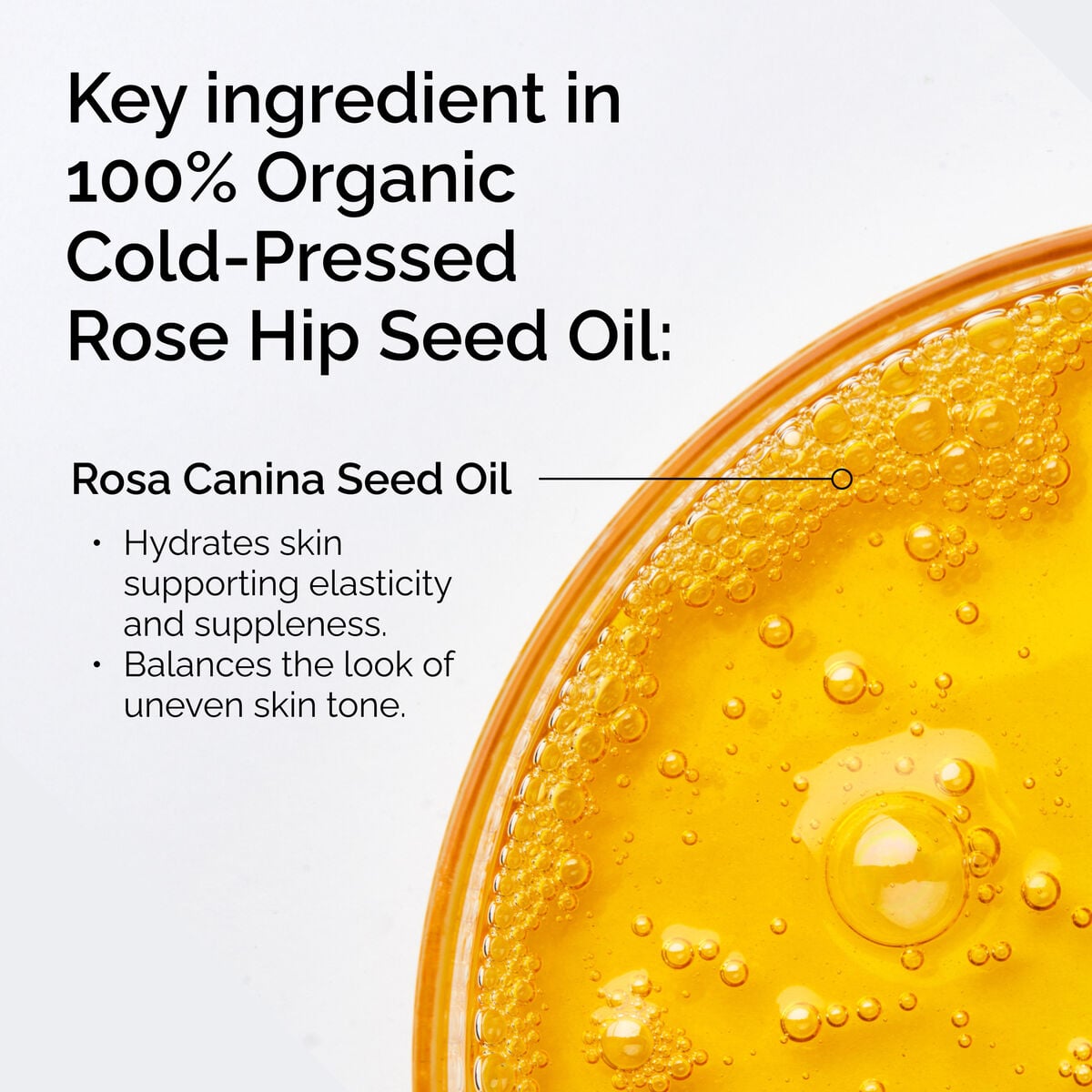 100-organic-cold-pressed-rose-hip-seed-oil-a9 FY25-D41247-ORD-Web-PDP-100-Rose-Hip-Oil-1x1-EN-2.jpg