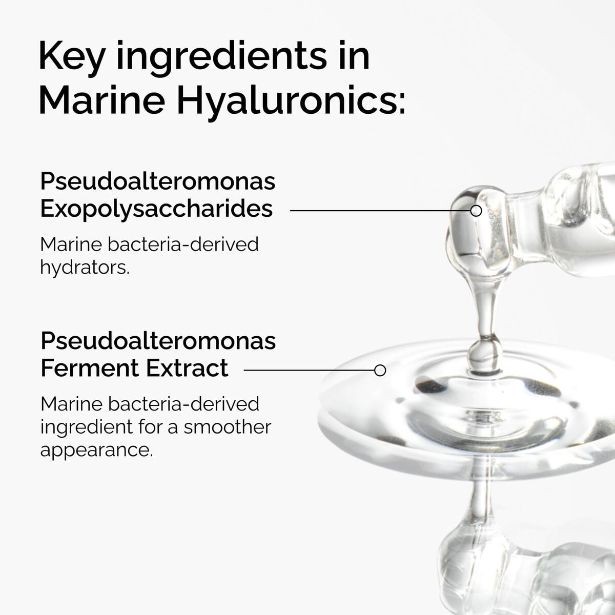 marine-hyaluronics-n0 FY25-D41247-ORD-Web-PDP-Marine-Hya-1x1-EN-2a.jpg