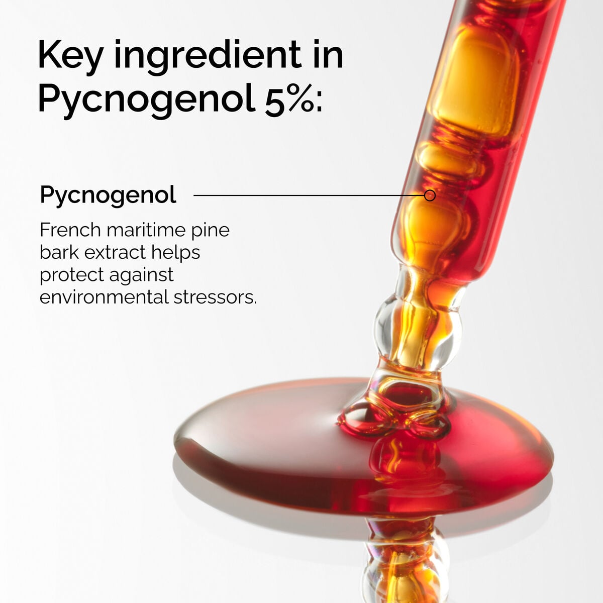 pycnogenol-5-j8 FY25-D41247-ORD-Web-PDP-Pyc-5pct-1x1-EN-2a.jpg