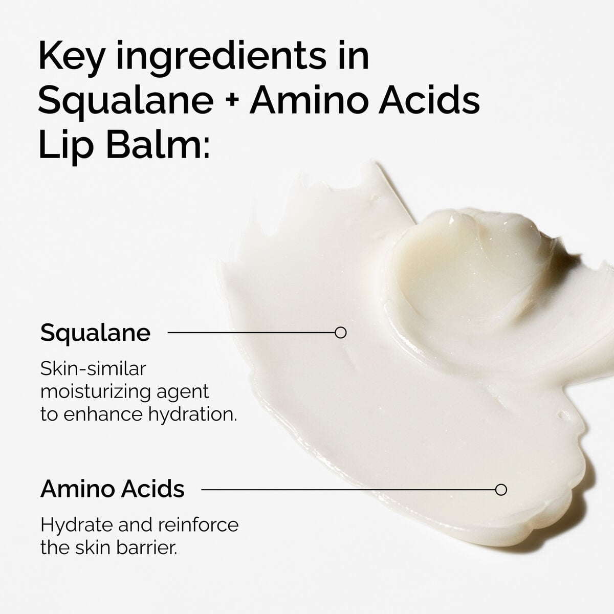 squalane-amino-acids-lip-balm-e2 FY25-D41247-ORD-Web-PDP-Sql-Amino-Lip-1x1-EN-2a.jpg
