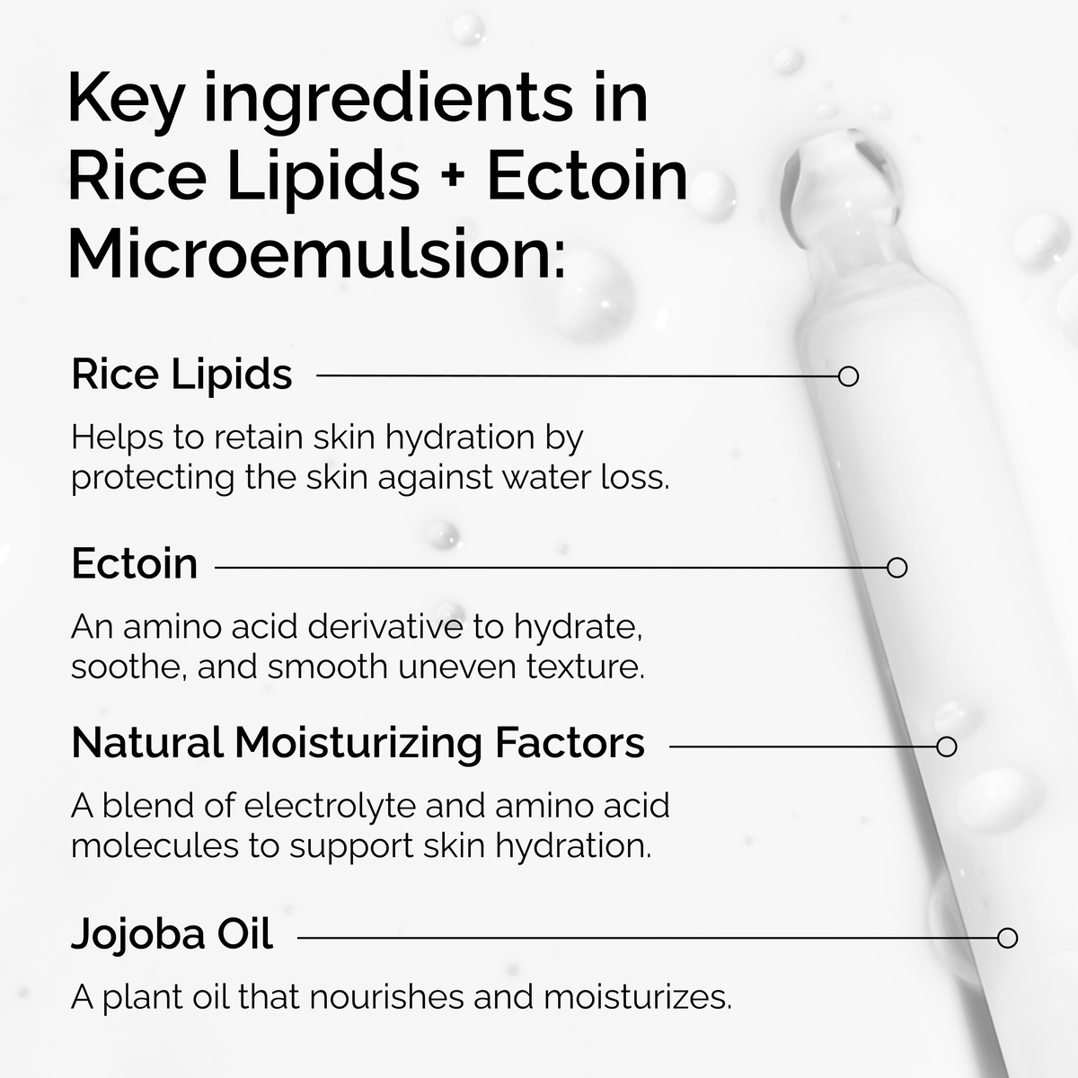 rice-lipids-ectoin-microemulsion-j6 ord-rice-lipids-ectoin-microemulsion-key-ingredients.png