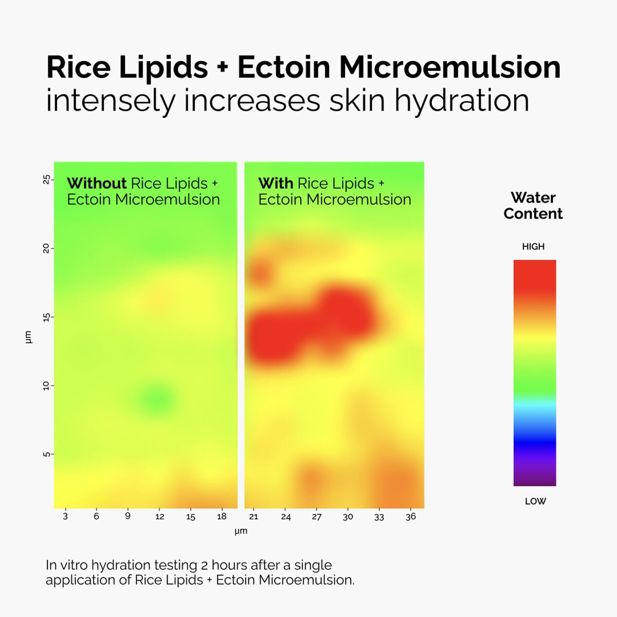 rice-lipids-ectoin-microemulsion-j6 ord-rice-lipids-ectoin-microemulsion-thermal-before-after.jpg
